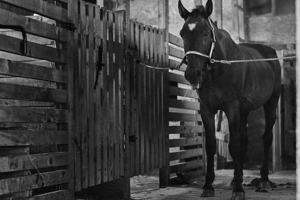 Фотография автора Бороненков Вадим