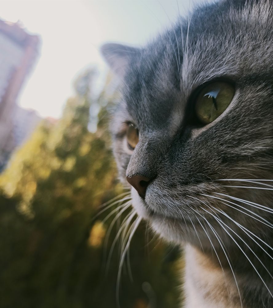 Photograph by Тимур Быков