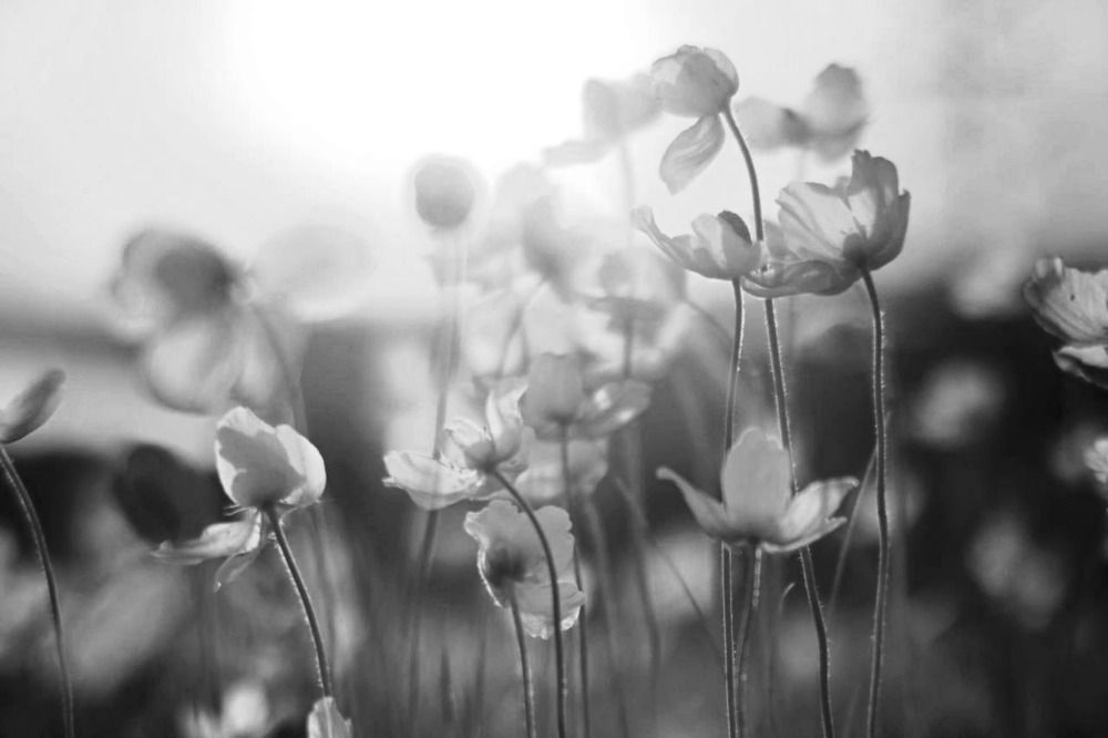 Photograph by Евгений Никонов