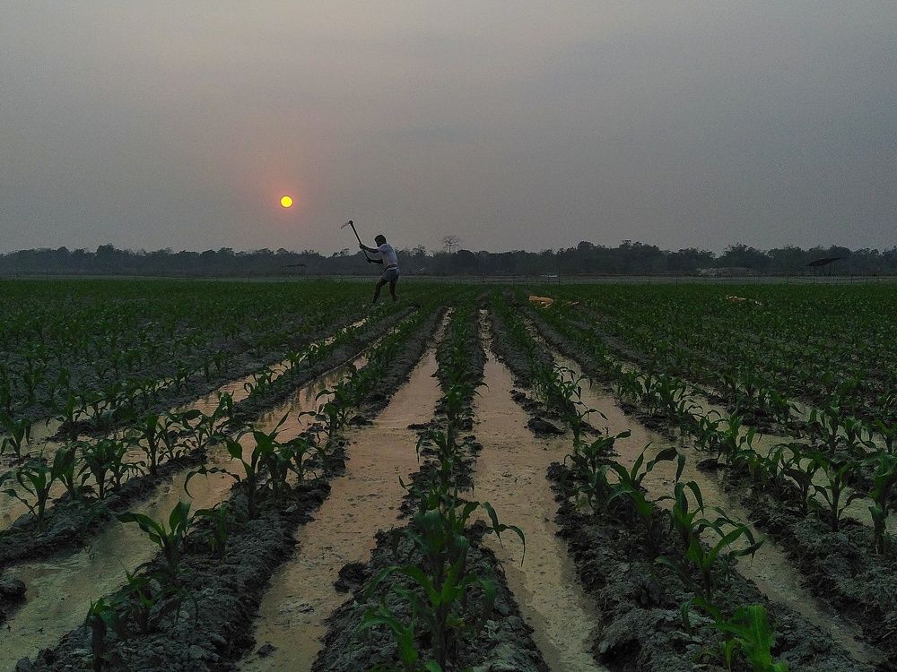 Photograph by Subhrodwip Karmakar