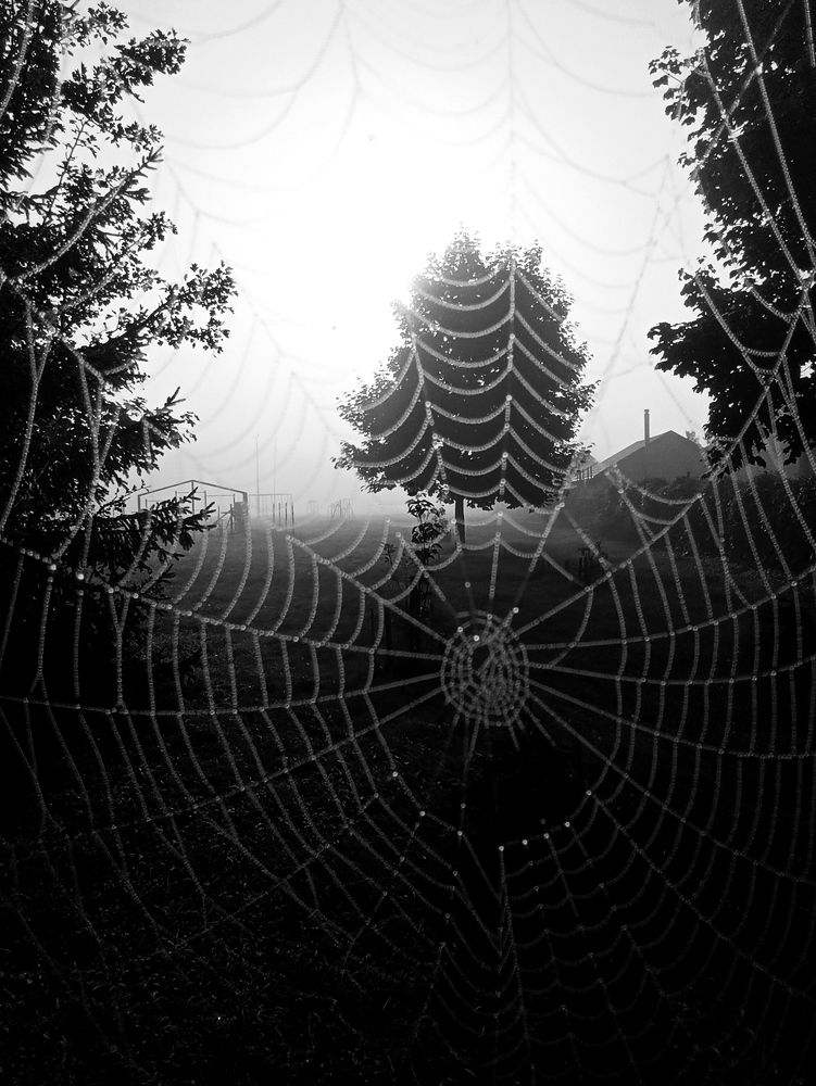 Photograph by Наталья Резванова