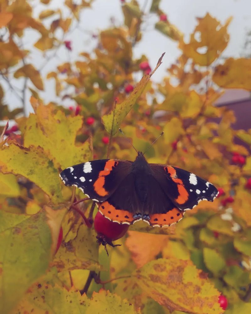 Photograph by Олег Лебедев