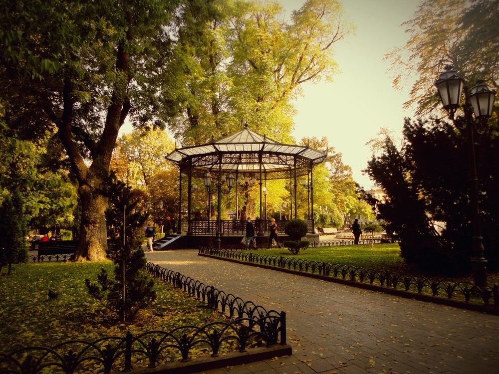 Photograph by Дмитрий Соколов