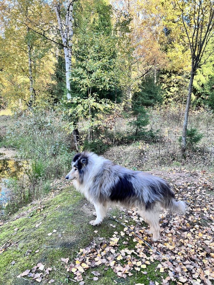 Photograph by Кира