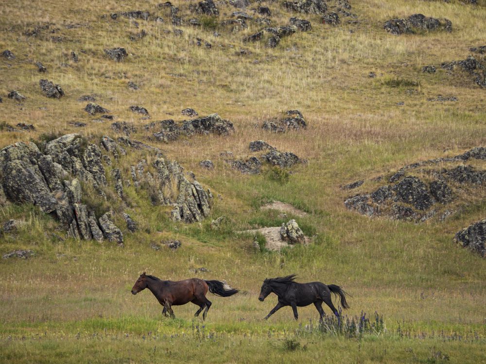 Photograph by Надежда Михайлина