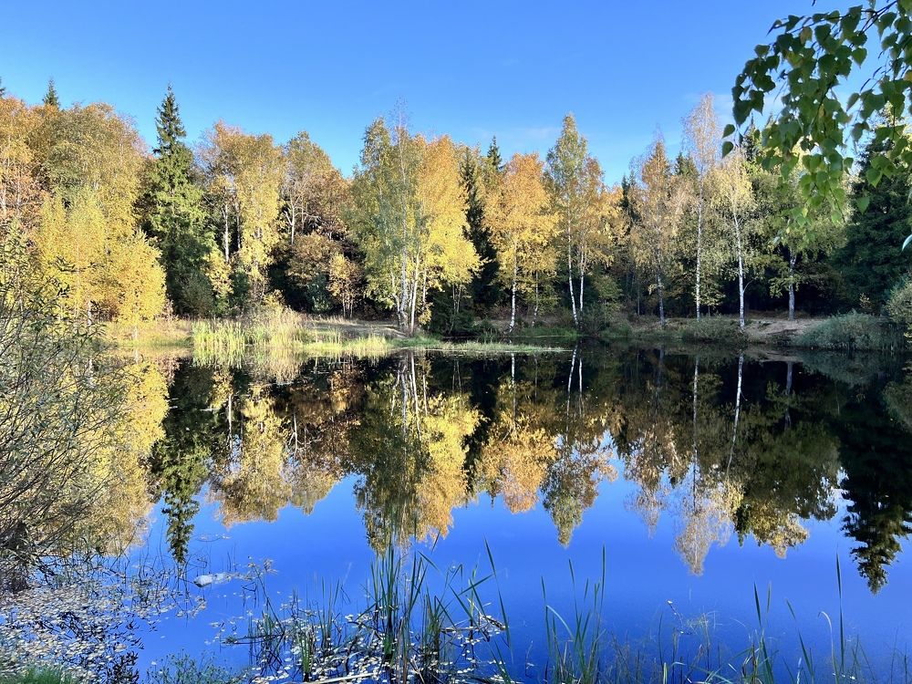 Photograph by Кира