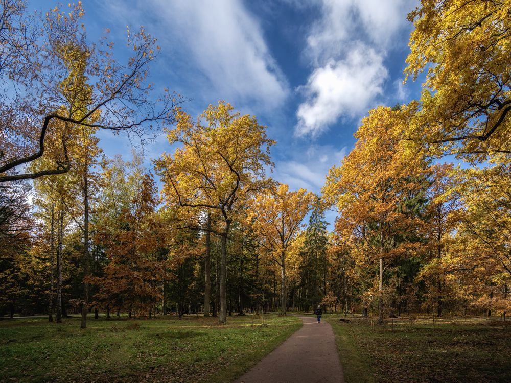 Photograph by Aleksandr Belov