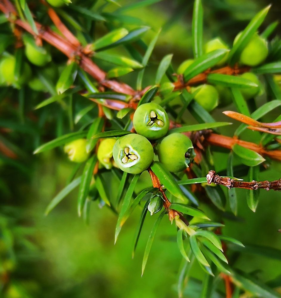 Photograph by Наталья Соколова