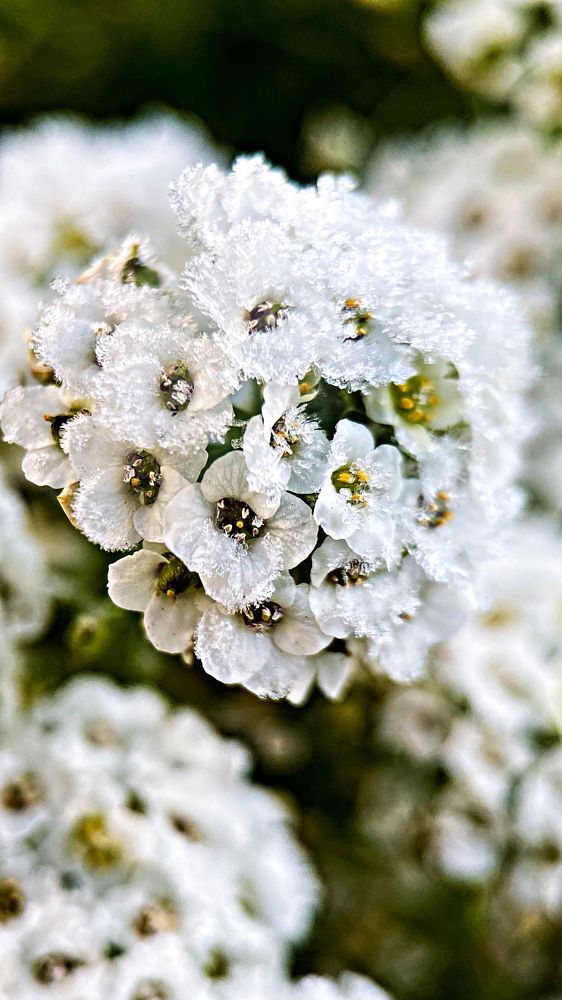 Photograph by Александра Гонтарь