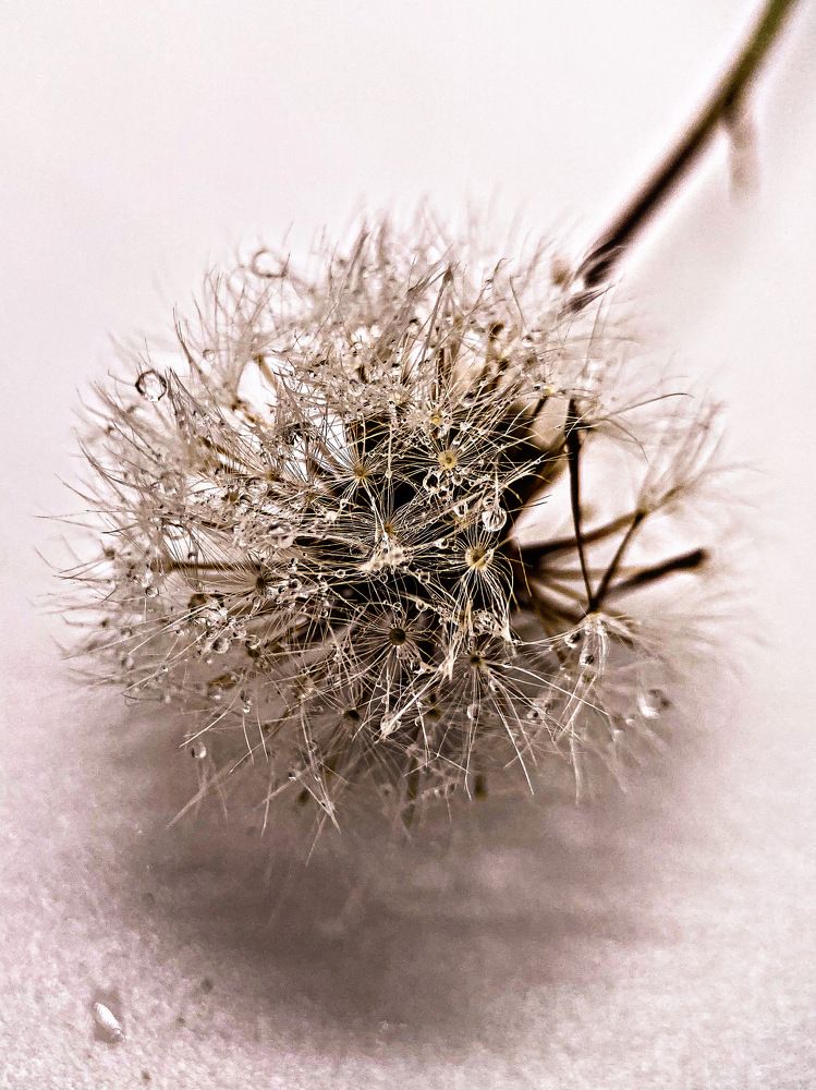 Photograph by Александра Гонтарь