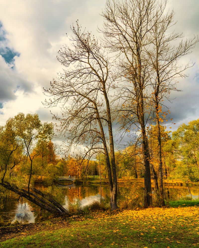 Photograph by Aleksandr Belov