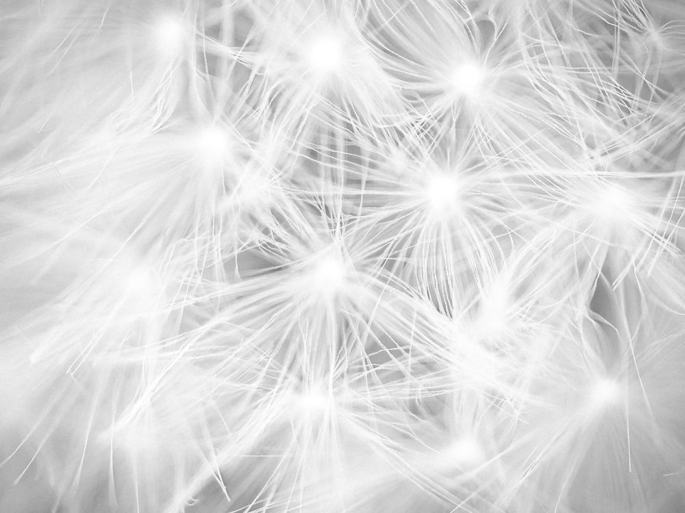 Photograph by Ирина Протченко