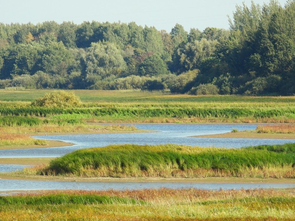 Photograph by Владимир Джерихов
