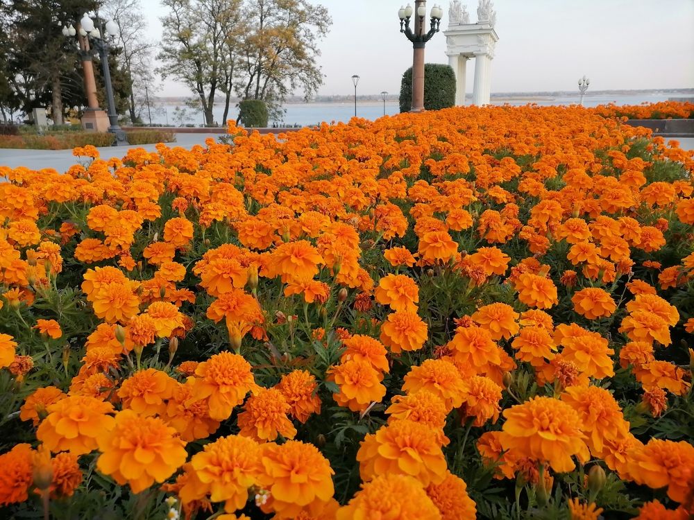 Photograph by Тамара Багровская