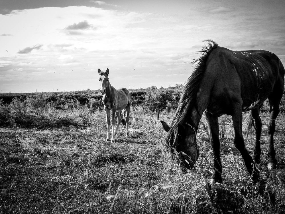 Photograph by Ирина Алпацкая