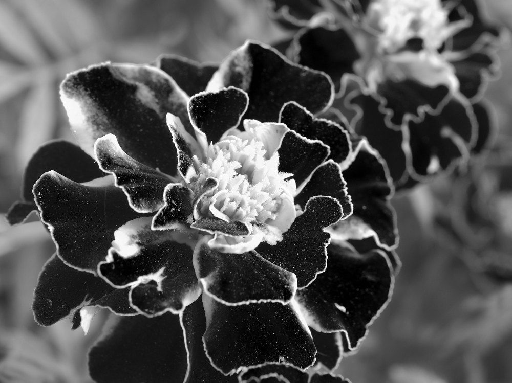 Photograph by Андрей Егоров