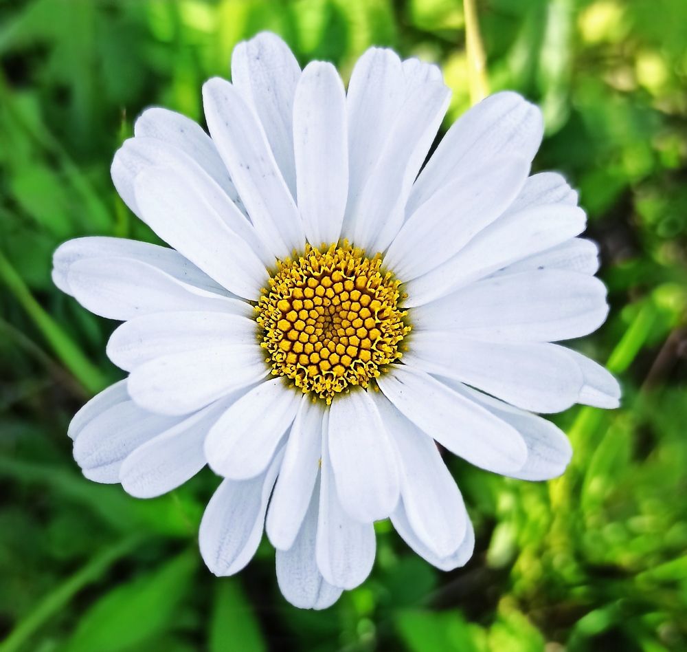 Photograph by Наталья Соколова