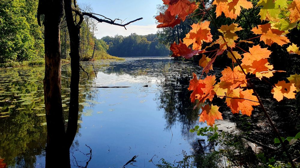 Фотография автора Сергей Скворцов