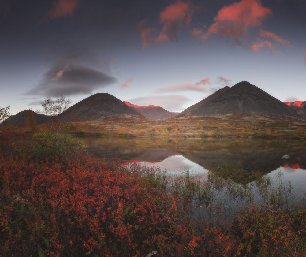 Photograph by Абрамов Денис