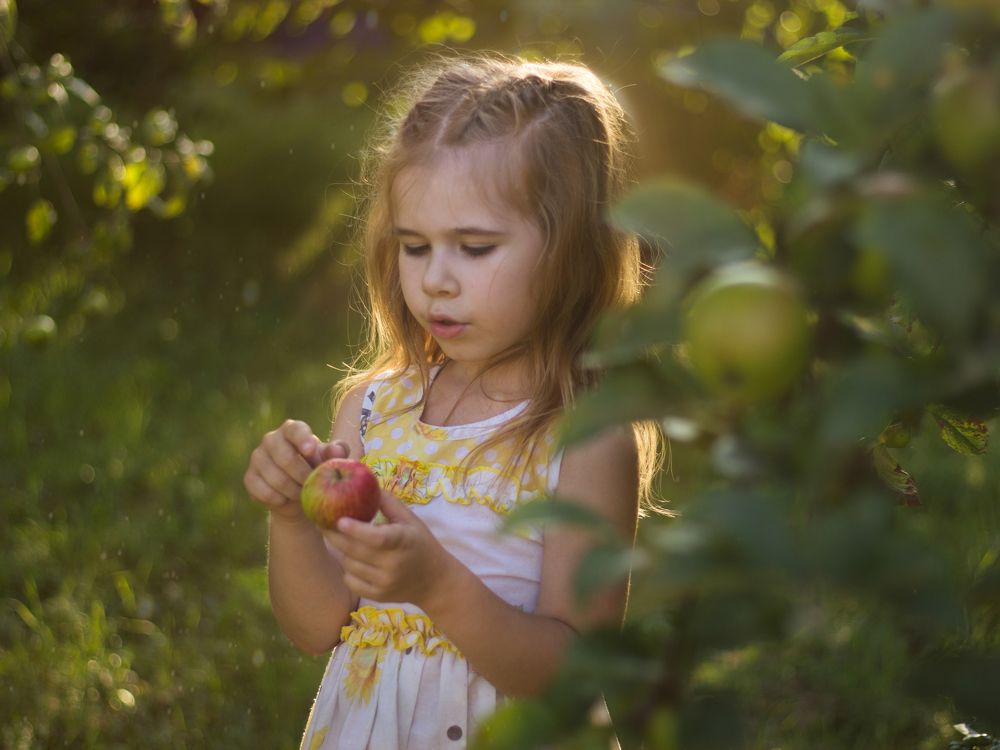 Photograph by Виктория Игонина