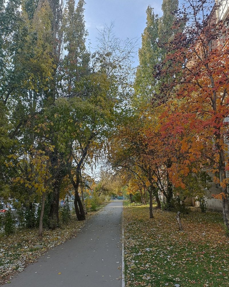 Осень в Омске