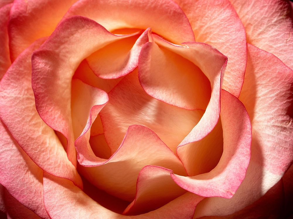 Photograph by Андрей Егоров