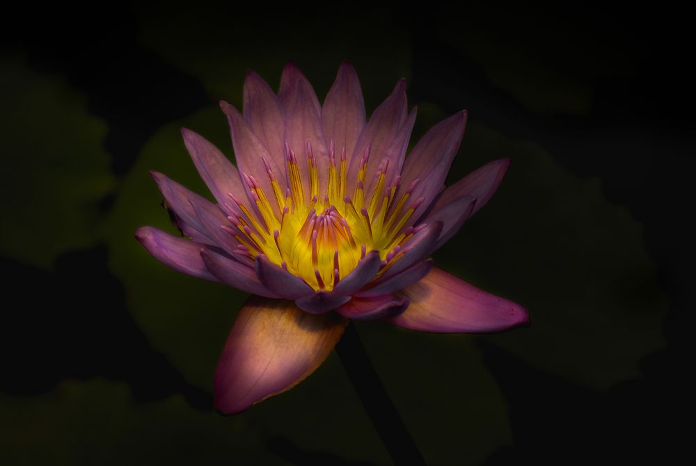 Photograph by Андрюс Киркляускас