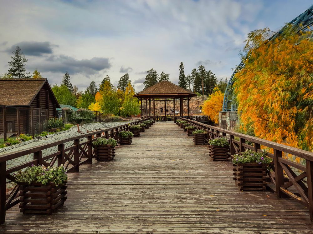 Photograph by Роман Бабин