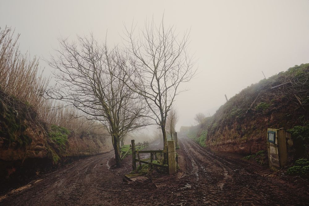 Photograph by Prometej