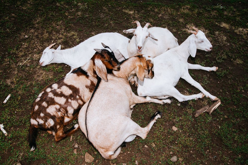 Photograph by Сергеева Марина