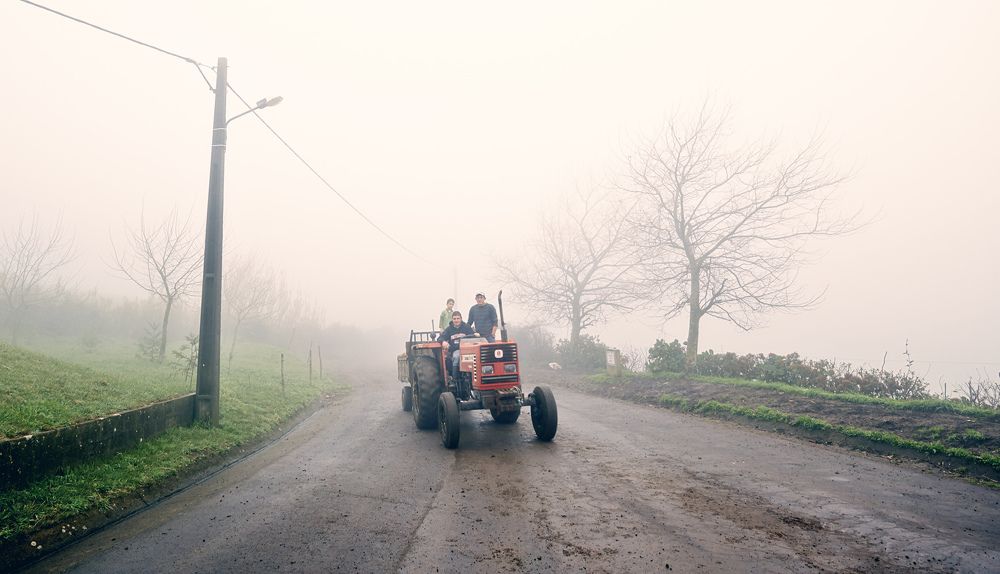 Photograph by Prometej