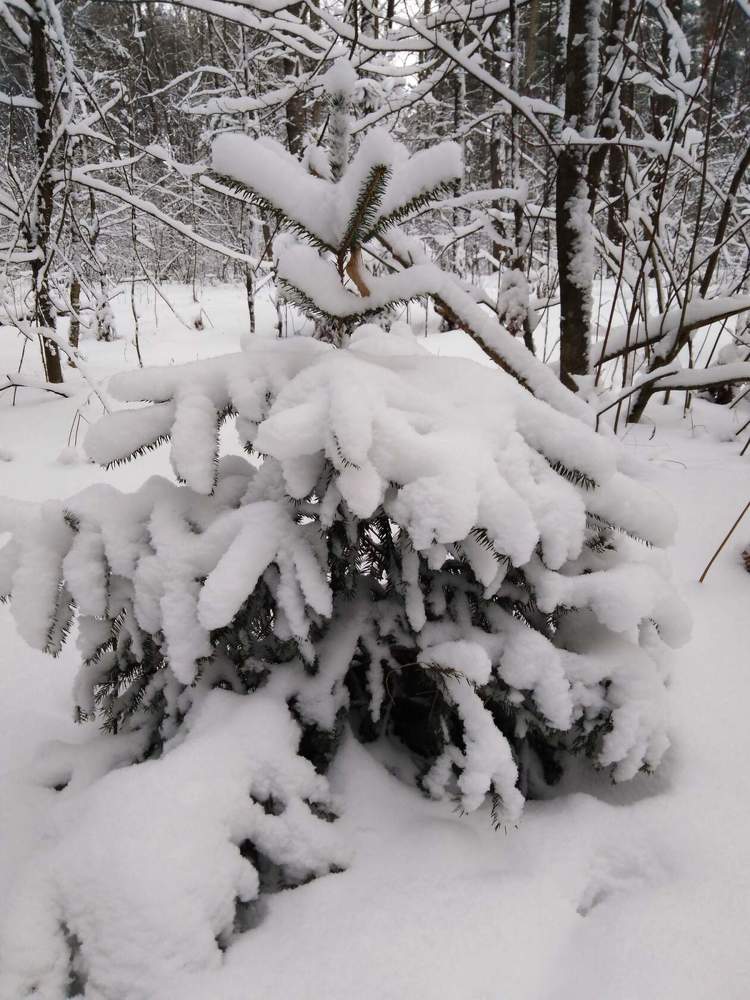 Photograph by Янина Милош