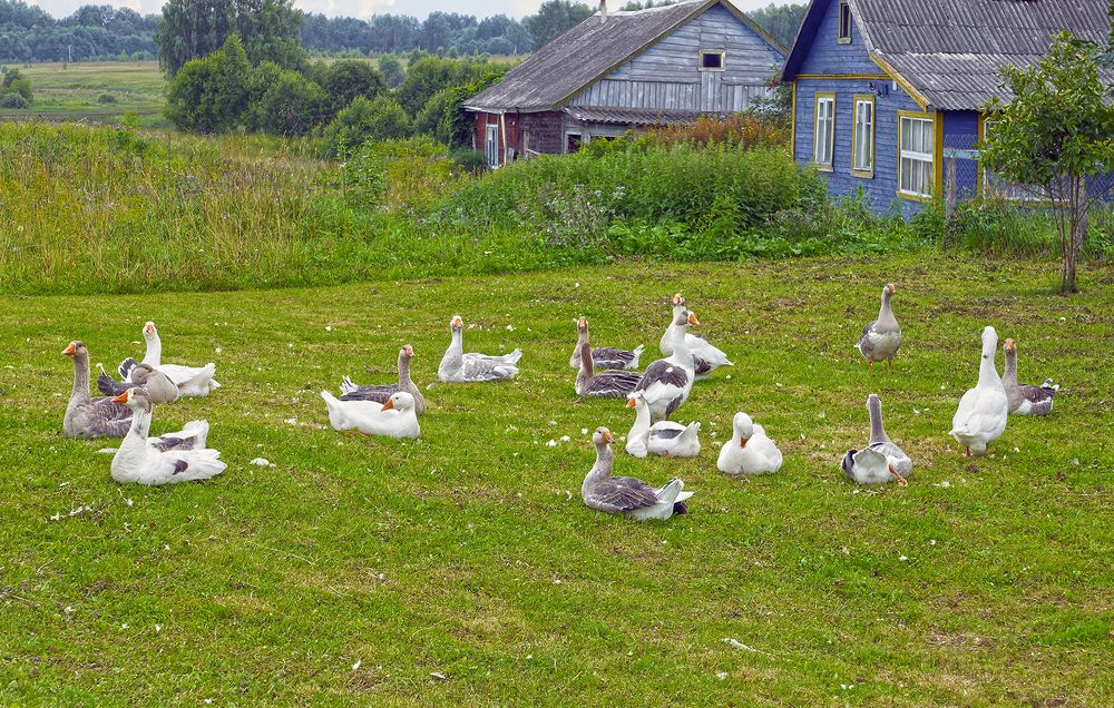 Photograph by Анатолий Максимов