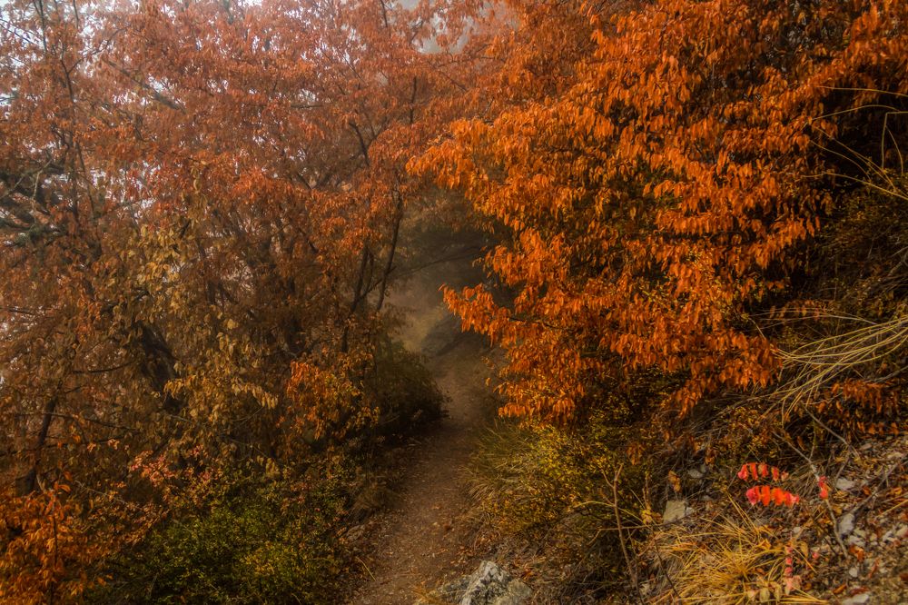 Photograph by Игорь Сидун