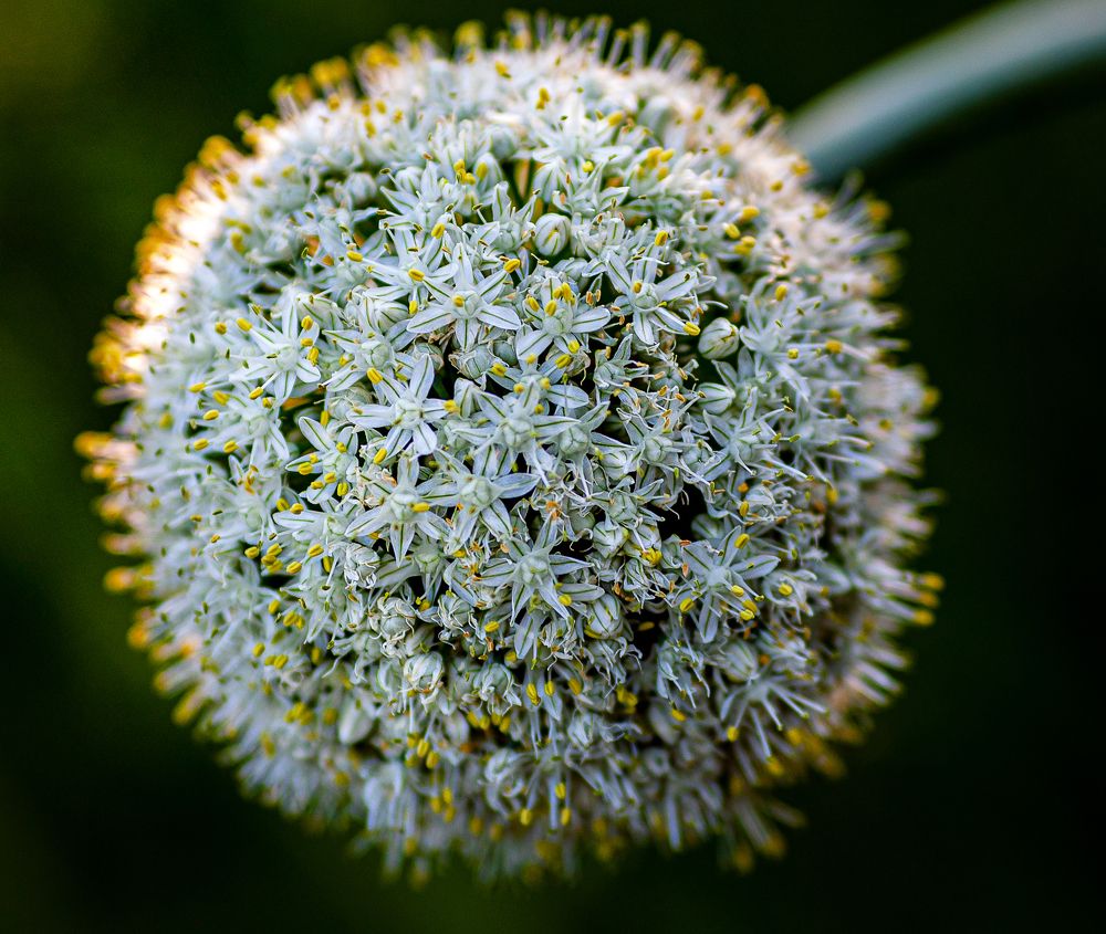 Photograph by Виктор Холодов