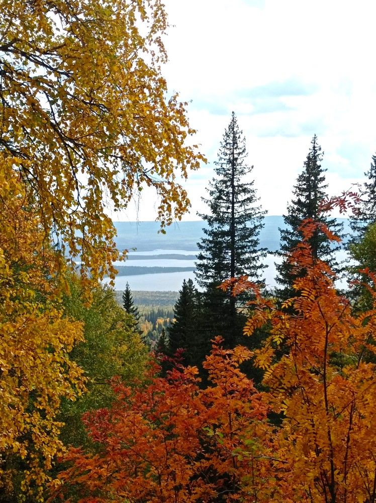 Photograph by Ирина Орлова