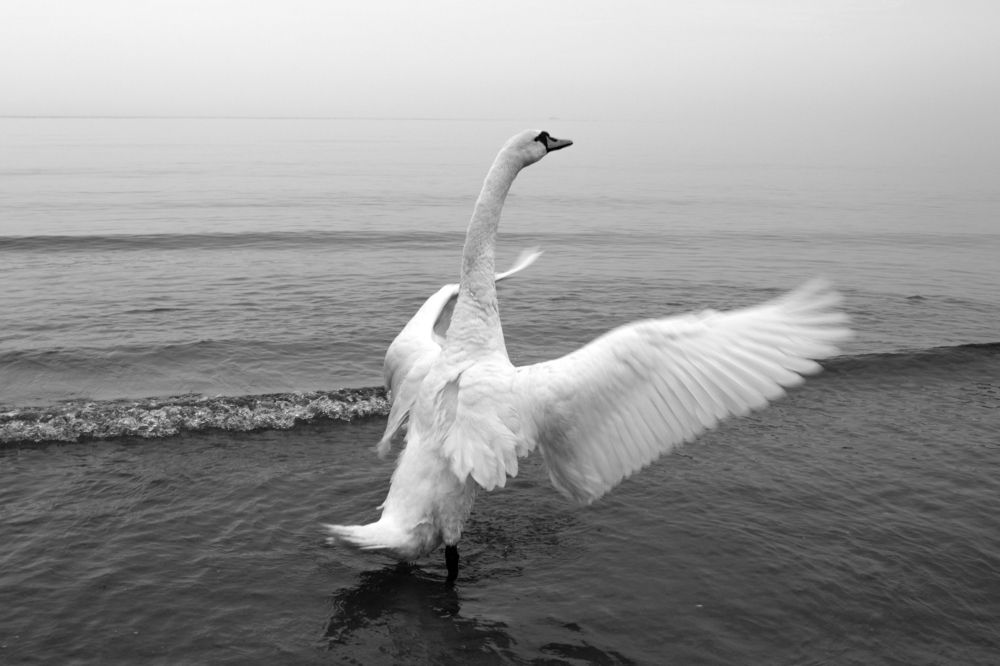 Photograph by Наталья Резванова