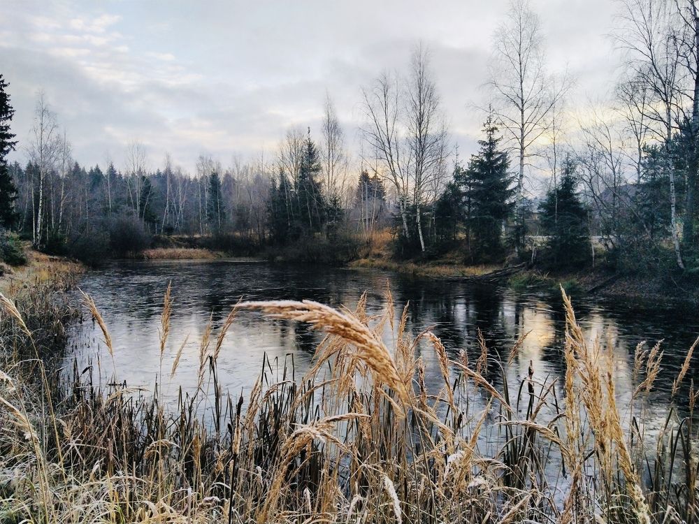 Photograph by Кира