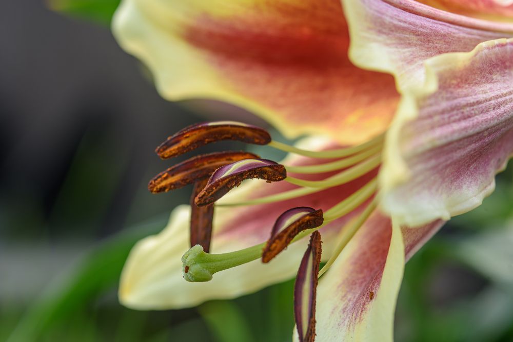 Фотография автора Владимир Зубков