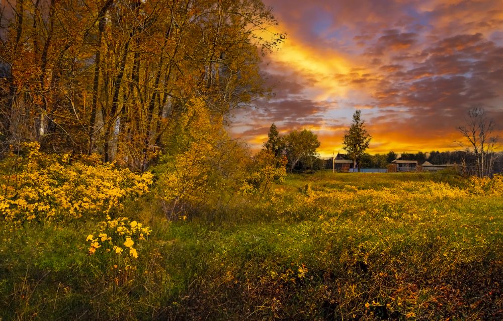 Photograph by Алексей Патлах