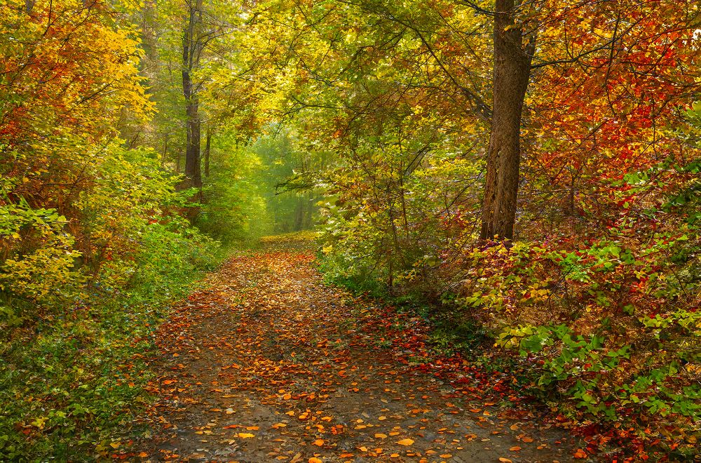 Photograph by Алексей Патлах