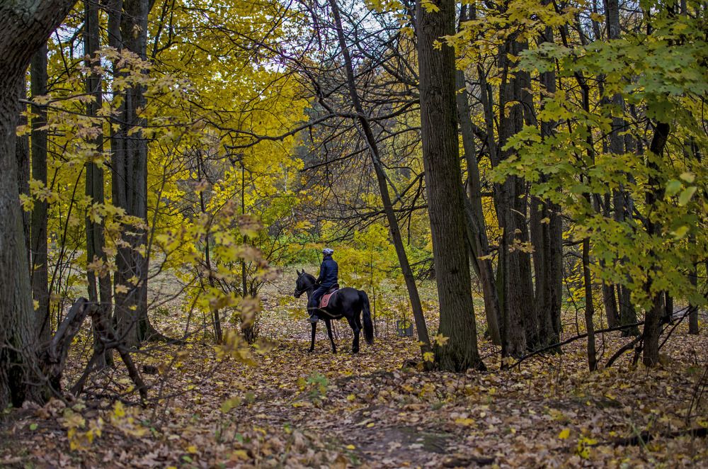 Photograph by Игорь Грашин