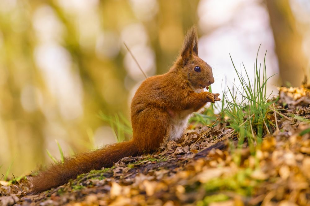 Photograph by Дмитрий Грошиков