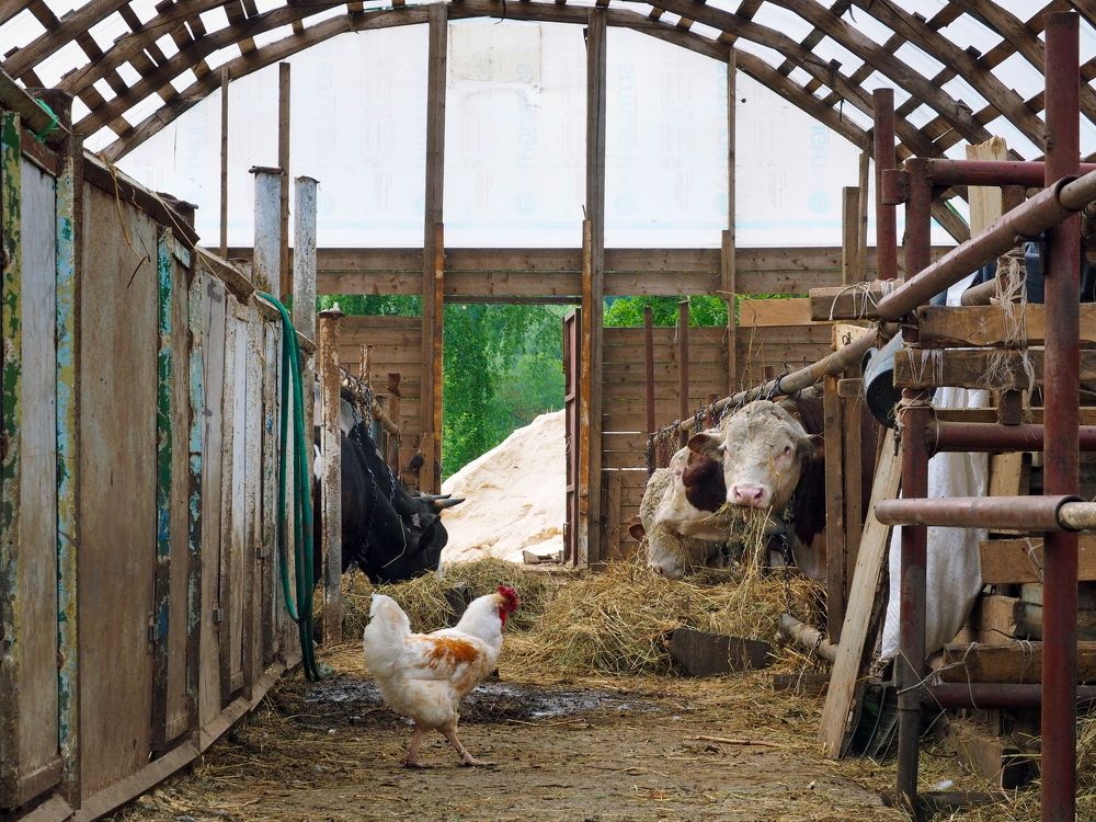 Photograph by Анна Горбач