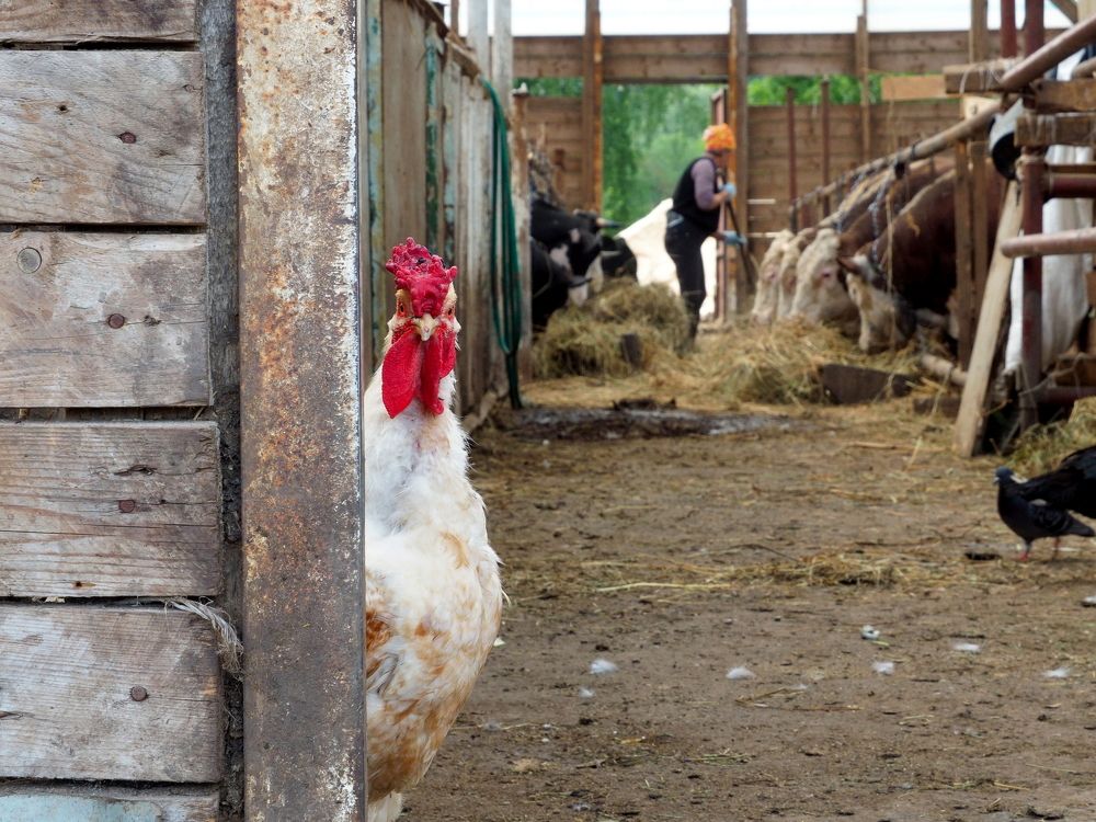 Photograph by Анна Горбач