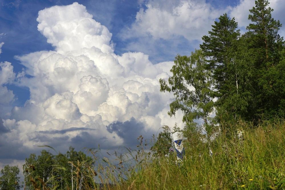 Фотография автора Татьяна Добровольская
