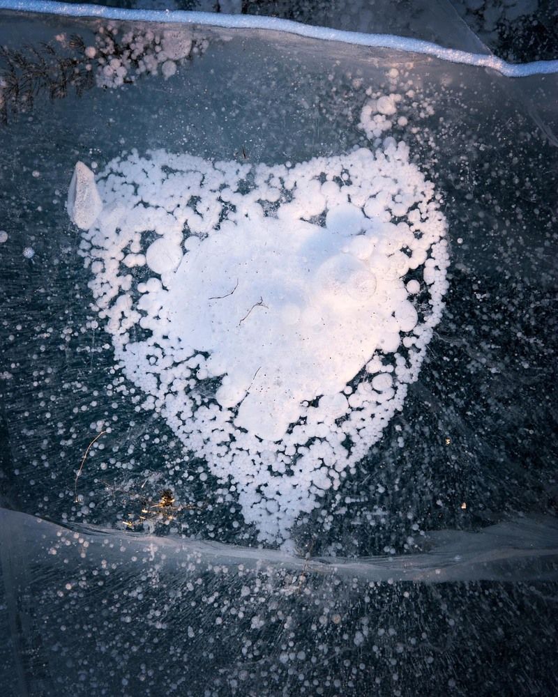 Фотография автора Татьяна Добровольская