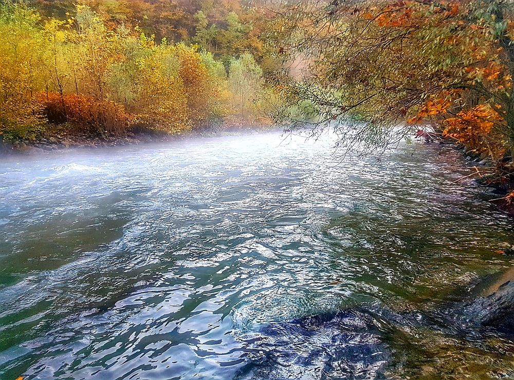 Photograph by Catherine