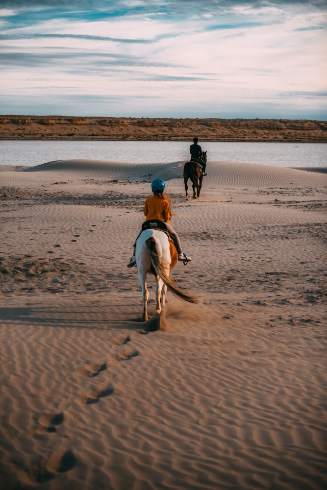 Фотография автора Дарья Шевченко