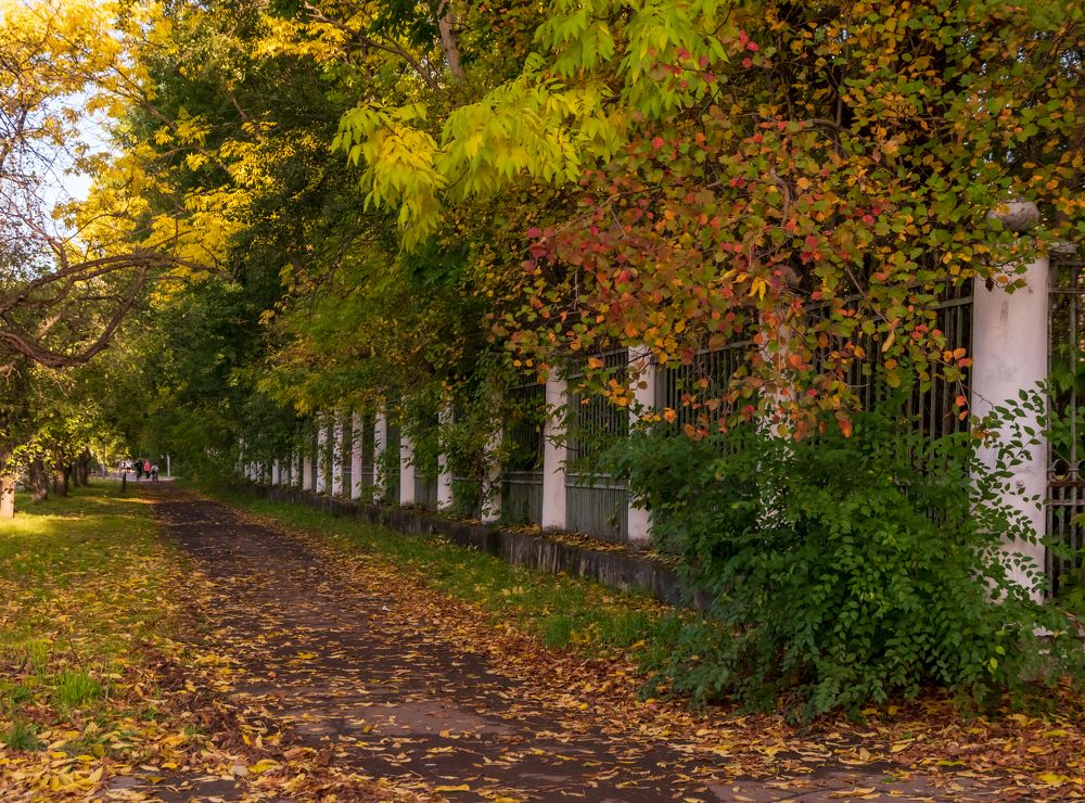 Photograph by Irina Luidinshina